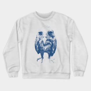 Wet owl shirt, Retro Cartoon T Shirt, Weird T Shirt, Meme Crewneck Sweatshirt